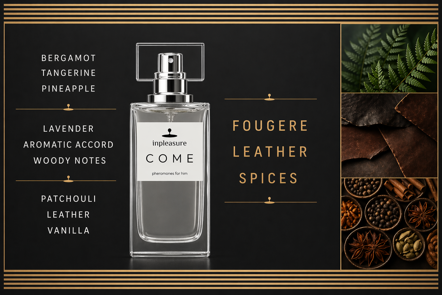 kompozycjaComeInpleasure